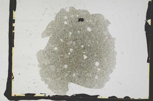 Plane Polarized, S2778