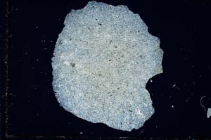 Cross Polarized, S2779