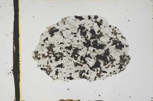 Plane Polarized, S2787