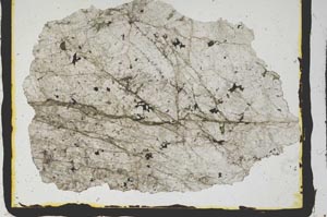 Plane Polarized, S2789
