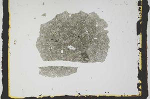 Plane Polarized, S2795