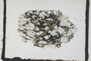 Plane Polarized, S2805