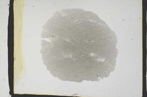Plane Polarized, S2807