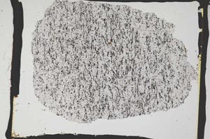 Plane Polarized, S2808