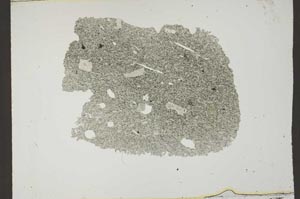 Plane Polarized, S12661