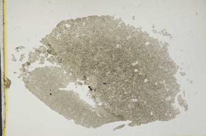Plane Polarized, S12662