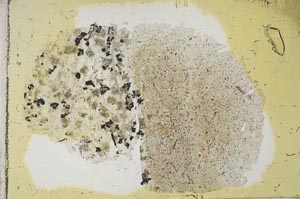 Plane Polarized, S12664