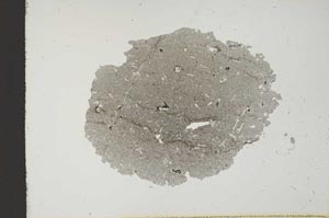 Plane Polarized, S12667