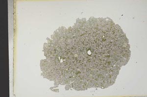 Plane Polarized, S12668
