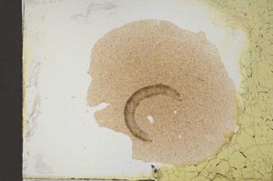 Plane Polarized, S12669