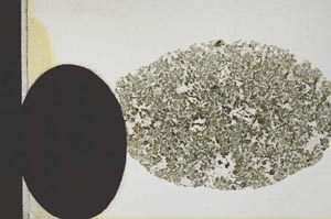 Plane Polarized, S12678
