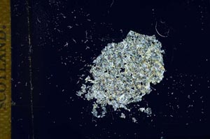 Cross Polarized, S12679