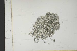 Plane Polarized, S12679