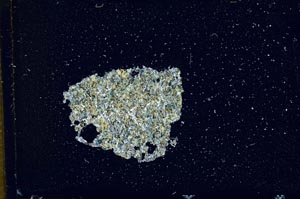 Cross Polarized, S12679/A