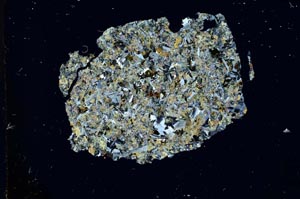 Cross Polarized, S12681