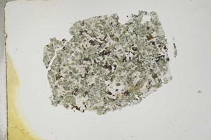 Plane Polarized, S12681