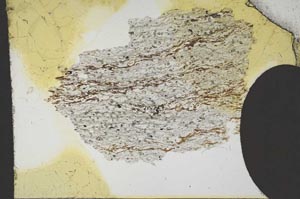 Plane Polarized, S12682