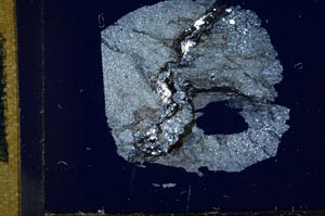 Cross Polarized, S12687