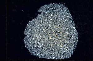 Cross Polarized, S12689