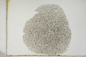 Plane Polarized, S12689