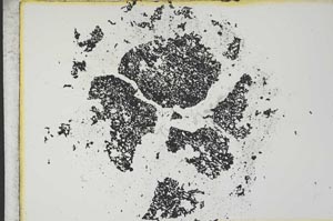 Plane Polarized, S12697