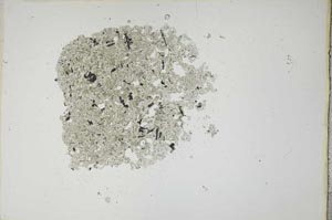Plane Polarized, S12703