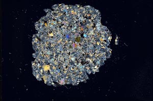 Cross Polarized, S12707