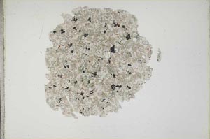 Plane Polarized, S12707