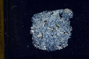 Cross Polarized, S12708