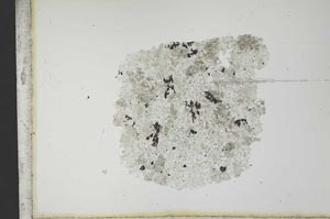 Plane Polarized, S12708