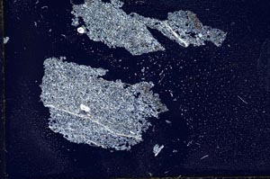 Cross Polarized, S12711