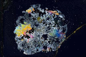 Cross Polarized, S12712