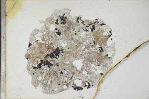 Plane Polarized, S12712