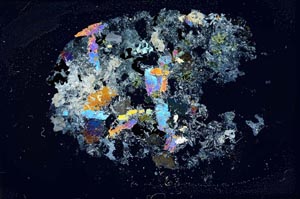 Cross Polarized, S12713