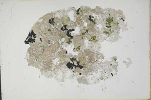 Plane Polarized, S12713