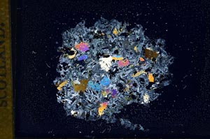 Cross Polarized, S12714