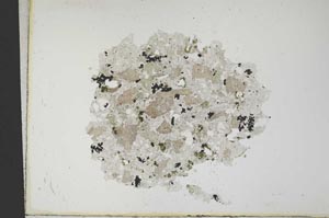 Plane Polarized, S12714