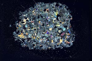 Cross Polarized, S12715