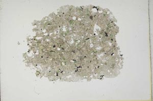 Plane Polarized, S12715