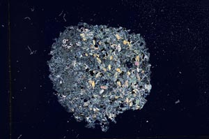 Cross Polarized, S12716