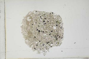 Plane Polarized, S12716