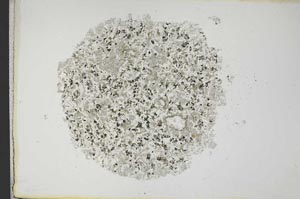 Plane Polarized, S12718