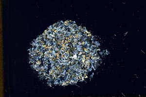 Cross Polarized, S12720