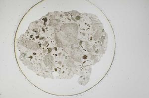 Plane Polarized, S12767