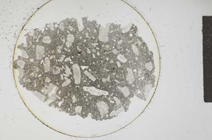 Plane Polarized, S12768