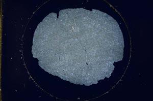 Cross Polarized, S12769