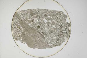Plane Polarized, S12770