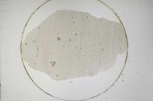 Plane Polarized, S12774