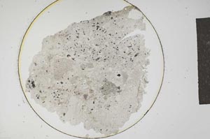 Plane Polarized, S12778