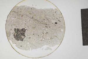 Plane Polarized, S12779